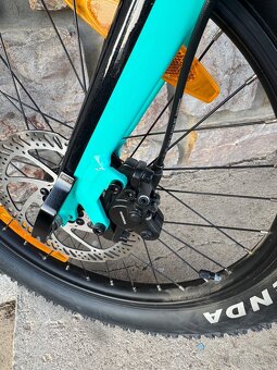 Scott Roxter 20” - 4