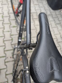 Bergamot grandendurance 5 - 4
