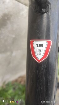 Author - 4