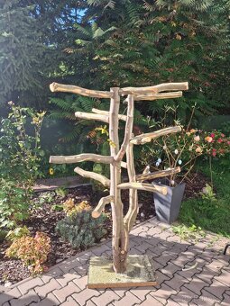 Strom pro velké papoušky - 4