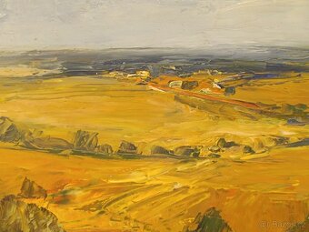 Obraz, Zlatá pole, olejomalba 48x58cm - 4