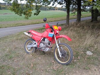 Honda NX 650 Dominator - 4