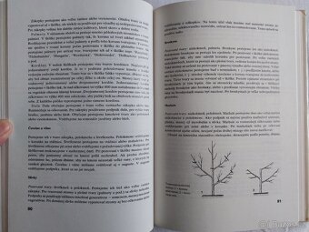 Ovocinárstvo - Oto Schuchman - 4