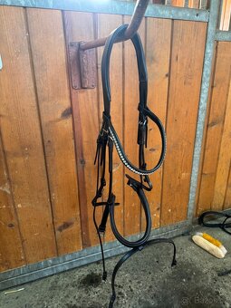 Uzdecka Waldhausen Hnědá Full - 4