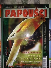 Papoušci - 4