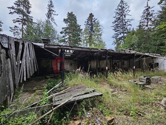Prodej pozemku se stavbou / chatou 330m2 v Mikulovicích u Je - 4