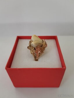 Zlatý prsten se zvířecími zuby - 4