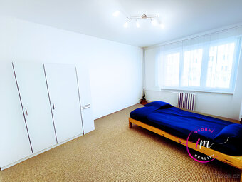 Pronájem bytu 2+1 Třebíč, Demlova - 4