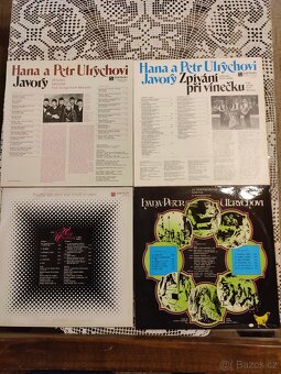 Retro LP desky Ulrychových - 4