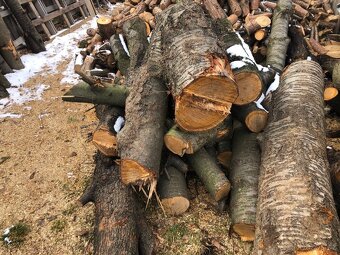 Prodej ovocného dřeva - 4