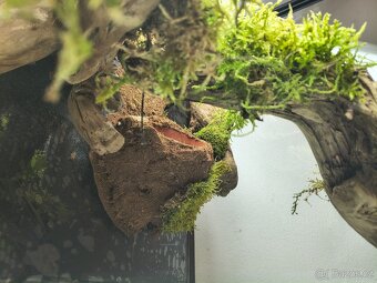 Terarium 60x45x45 - 4