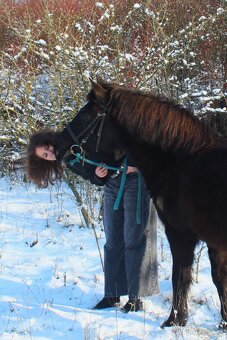 PONY VALACH - 4