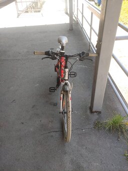 Author Junior Cross 15 - 4