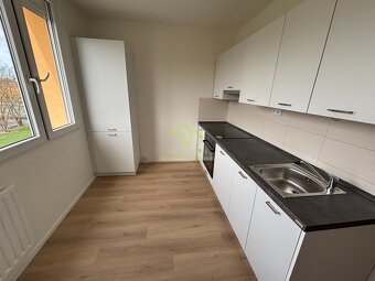 Rokycany- pronájem dr. bytu 1+1 po rekonstrukci s lodžií v m - 4