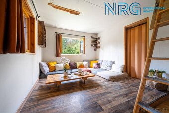 Prodej rekreační nemovitosti, pozemky 9851 m2, Kralovice - 4