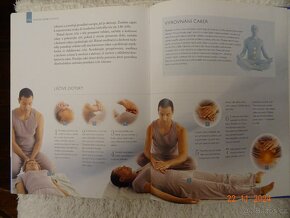 Čínská medicína v praxi - 4