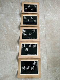 Staré retro fotografie UPM - 4