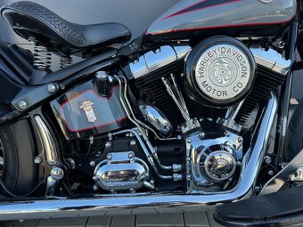 HARLEY DAVIDSON Cross bones - 4