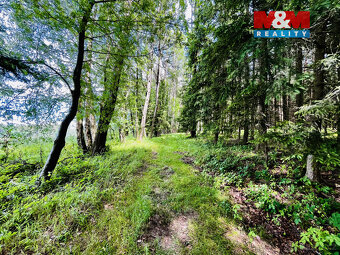 Prodej lesa, 1312 m², Libchavy - 4