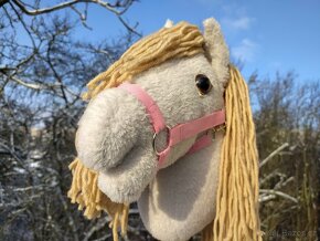 Hobby horse - 4