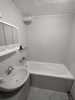 Pronájem bytu 2+1 s balkonem - 4