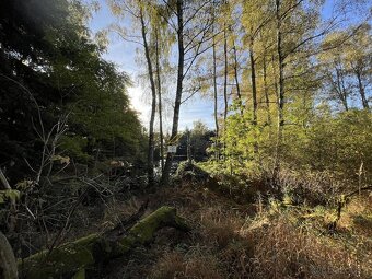Prodej rybníku s pozemky, Klení, Benešov nad Černou - 4