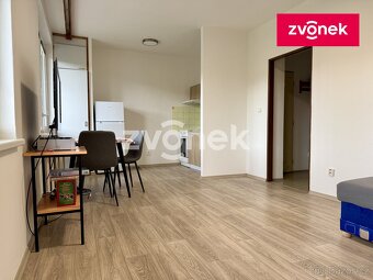 1+kk Malenovice, zděný, prostorný balkón, překrásný výhled - 4