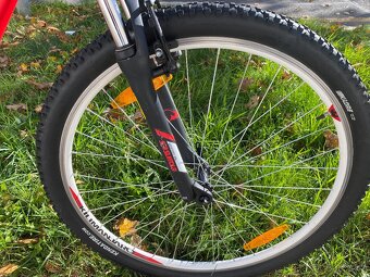 29" horské kolo Kilimanjaro alu rám L 19" - 4
