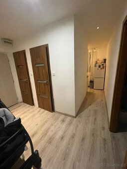 pronájem bytu Pardubice  3+1 - 4