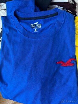 Trika Hollister Lka - 4