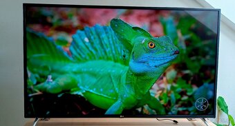 4K Smart LED TV LG 125cm, plně funkční bez poškození - 4