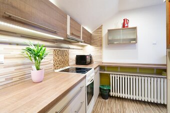 Pronájem byt 2+1 ve Velkých Nepodřicích - 4