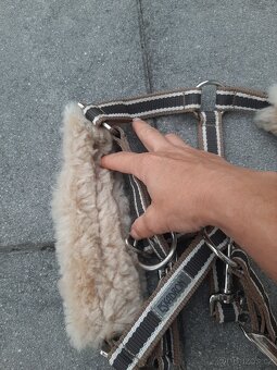 Pony Eskadron ohlavka - 4