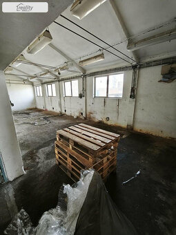 Pronájem, komerční, 233 m, Nádražní, Židlochovice, Česko - 4