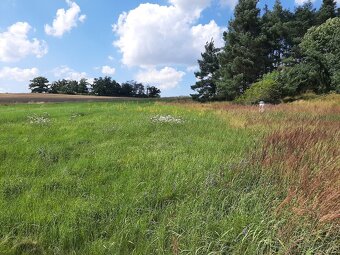 Stavební pozemek 1365m2 u přehrady Orlík - 4