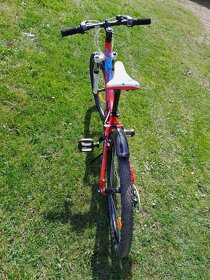 Juniorské kolo SUPERIOR 24 PAINT - 4