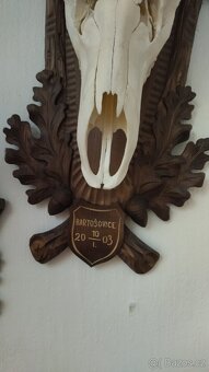 Paroží - 4