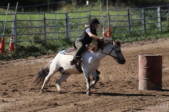 Pony 128 cm - 4