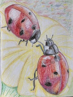 velikonoční a jarní přání - 4