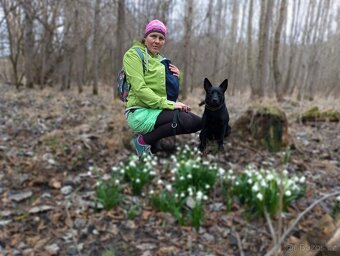 Nosící softshellová bunda Atom Rat L se vsadkou - 4