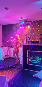 Dj a zpěvačka na svatbu - 4