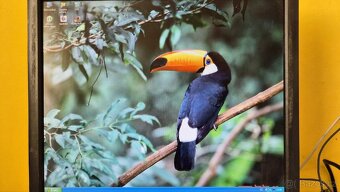 Fujitsu retro PC s Win XP - 4