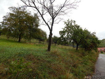 Bošovice, prodej pozemku 1000 m2 - 4
