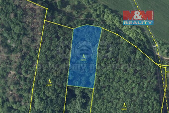 Prodej lesa, 7458m², Bílina - 4