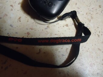 Elektrický výcvikový obojek - 4