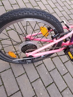 Rock Mashine Catherine vel.20 - 4