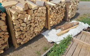Palivové dřevo, štípané palivove drevo, stipane drevo, - 4
