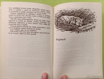 POTULNÝ LOVEC Karel Nový - 4