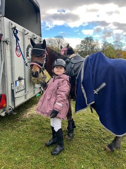 Predam S pony do sportu - 4