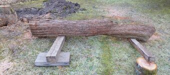 Prodám kmen švestky 220 cm 2000 Kč - 4